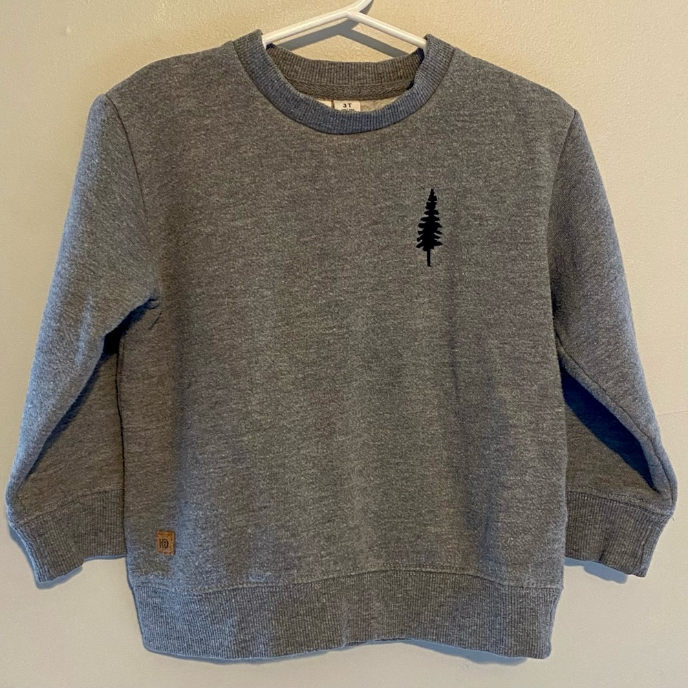 Tentree Toddler Boys 3T Sweatshirt